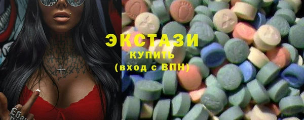 индика Саяногорск