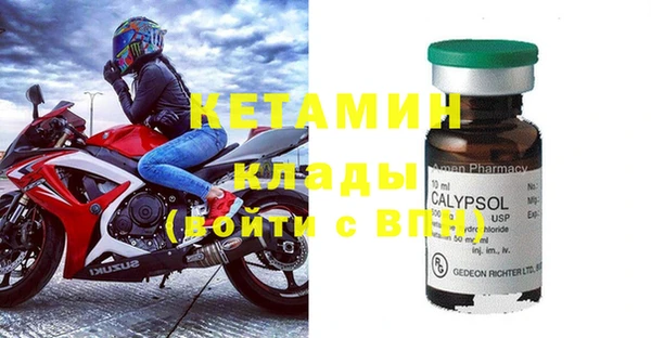шишки Сатка