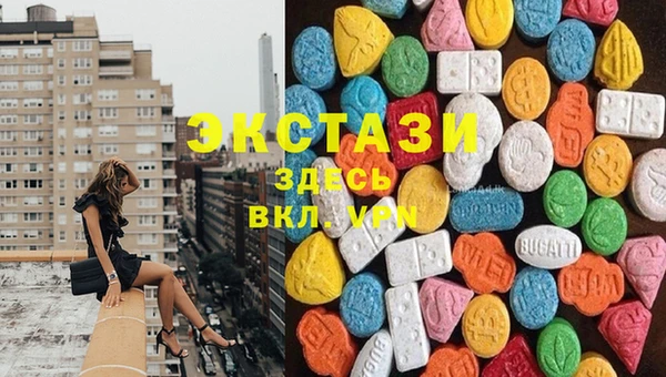 индика Саяногорск