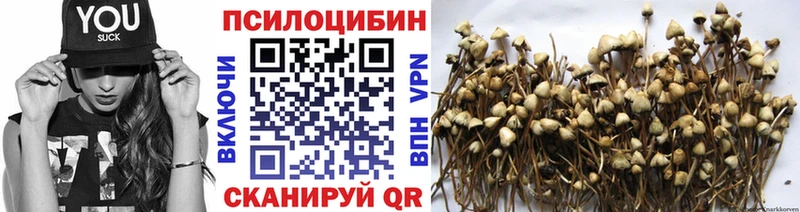 Псилоцибиновые грибы MAGIC MUSHROOMS  Балабаново 